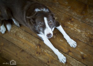 2016-08-07-002-Mei-Photography-Lifestyle-Family-Glancy WR