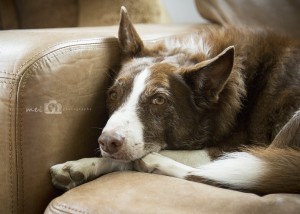 2016-08-07-016-Mei-Photography-Lifestyle-Family-Glancy WR